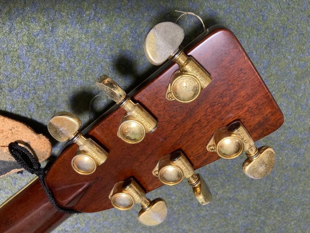 Zenon アコースティックギター スプルーストップ