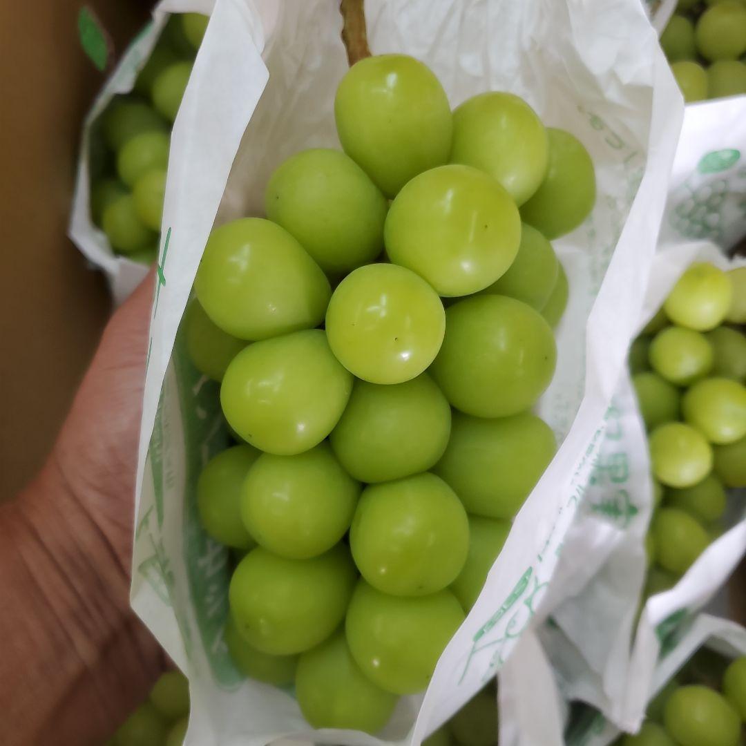 3️⃣ 山梨県産 シャインマスカット １０房入り 箱込み5.3キロ