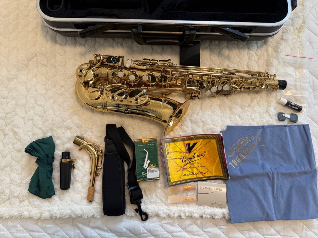 とても美品　アルトサックス アンティグア