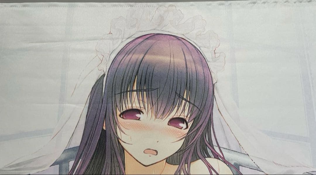 君と彼女と彼女の恋。　ニトロプラス　 タペストリー