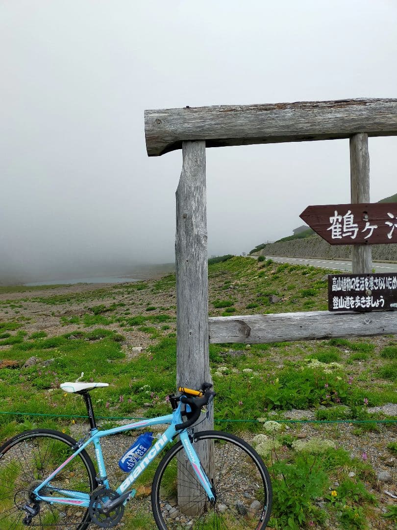 ヴィアニローネ7　vianirone7 2016