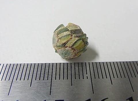 ★G2704★古代とんぼ玉 (A48) ローマ　美枯　ガラスビーズ　モザイク芯玉