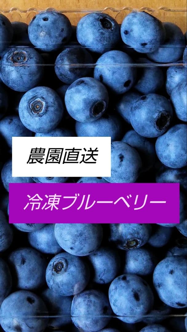 《訳あり》冷凍ブルーベリー５Kg　お買い得！！