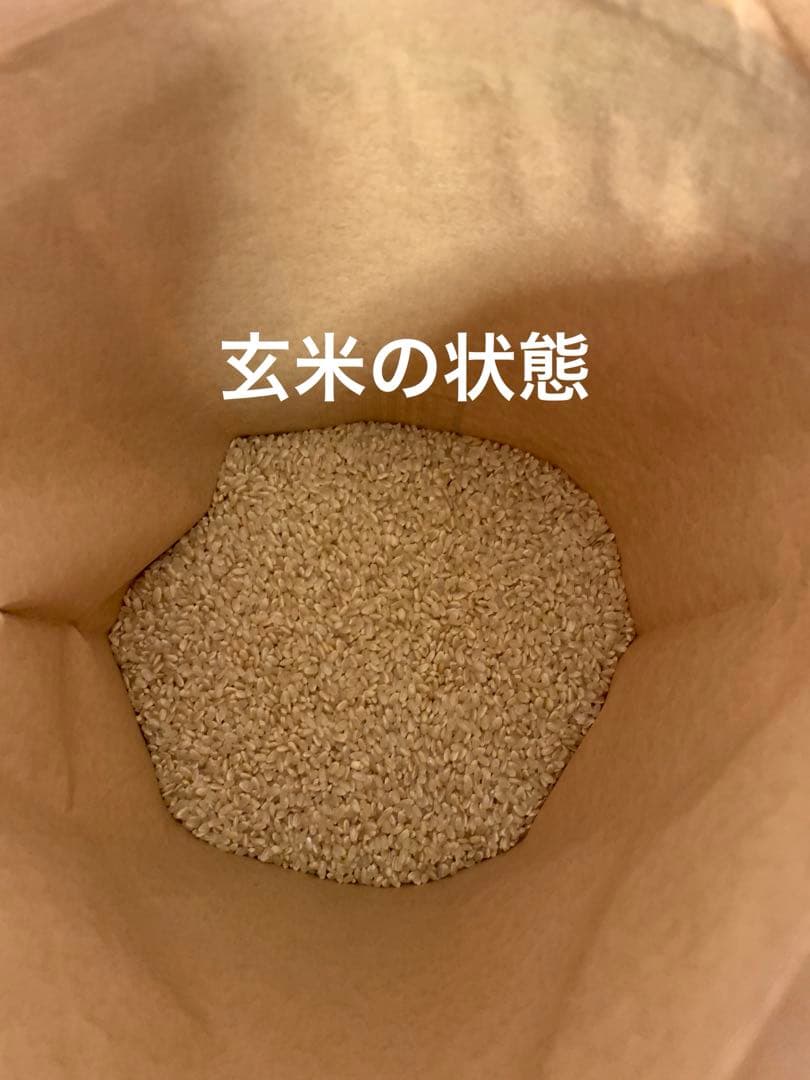 令和7年度産　新米　ヒノヒカリ玄米20kg(送料込)減農薬のお米