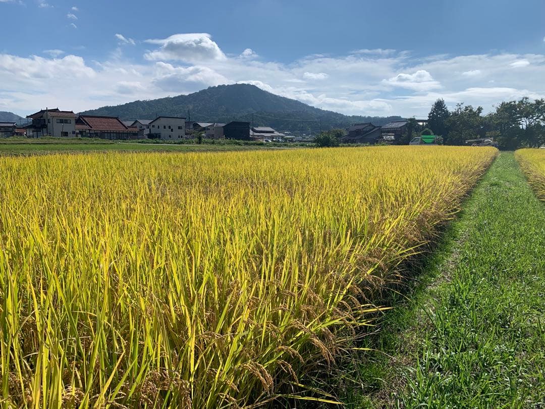 令和7年度産　新米　ヒノヒカリ玄米20kg(送料込)減農薬のお米