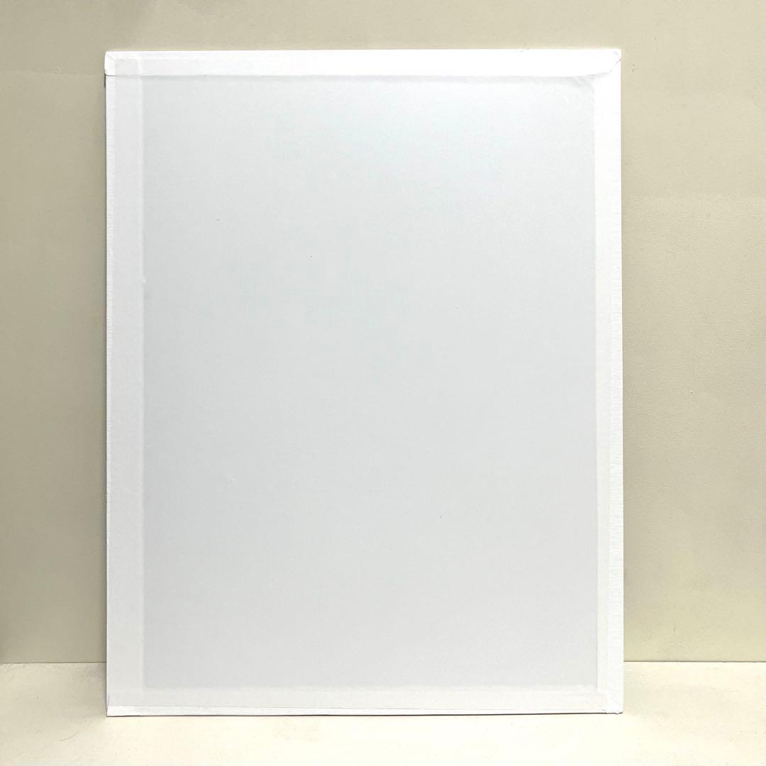 COCO様おまとめ購入専用ページ