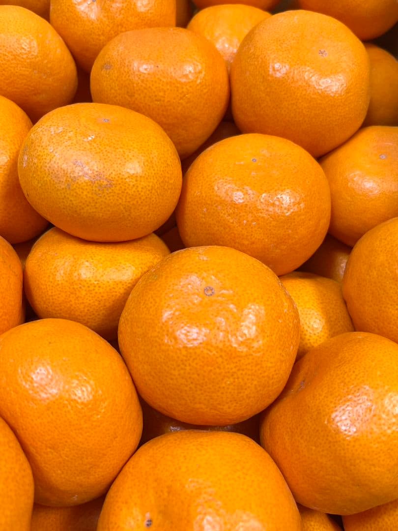 緑の箱のすごいみかん　Lサイズ5000g