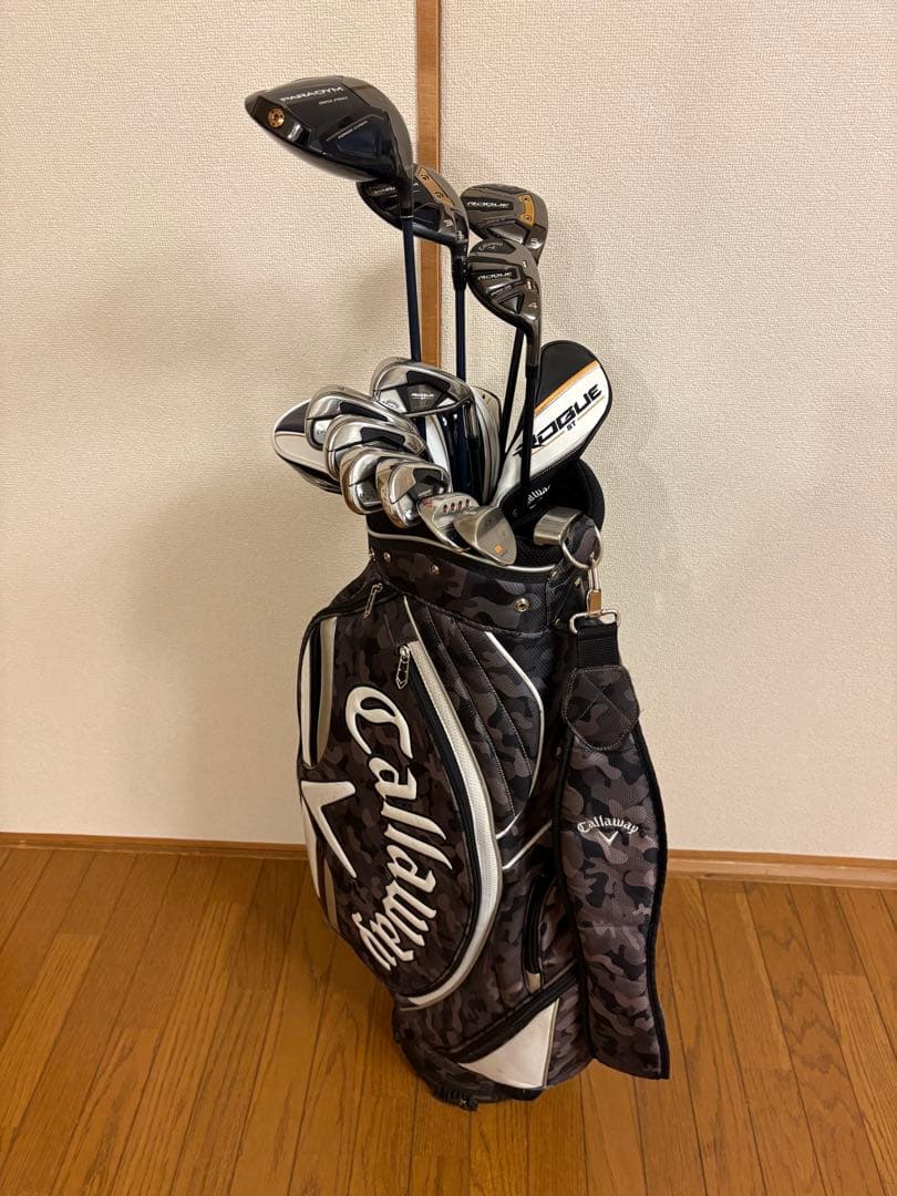 【超激安】①PARADYM〜ROGUE ST（9本）+おまけ（PT&WG2本等）