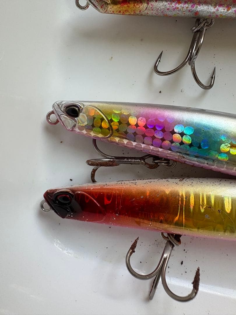 ビーチウォーカーウェッジ95s