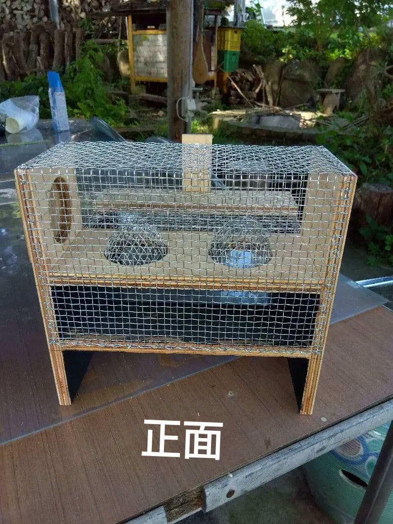 スズメバチ捕獲器 ２個売り 別名 スズメバチ生捕器