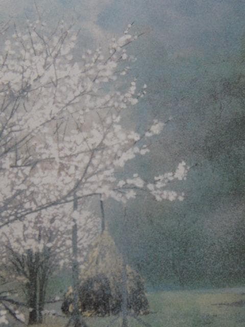 小谷津雅美、【土呂部の春】、希少な額装用画集画、新品高級額 額装付