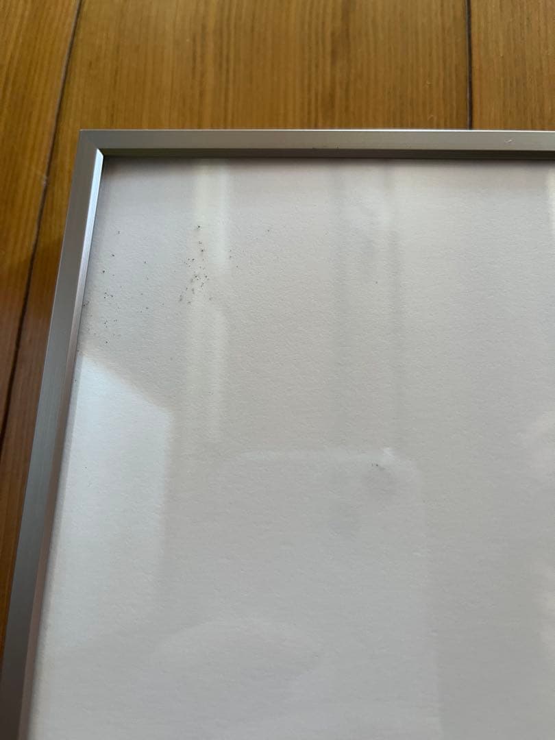 Toshio Shibata 柴田敏雄　オリジナルプリント