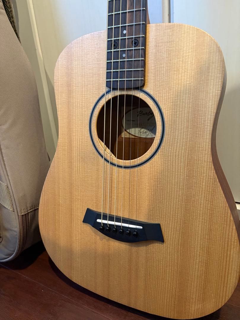 値下げしました！Taylor BT-1