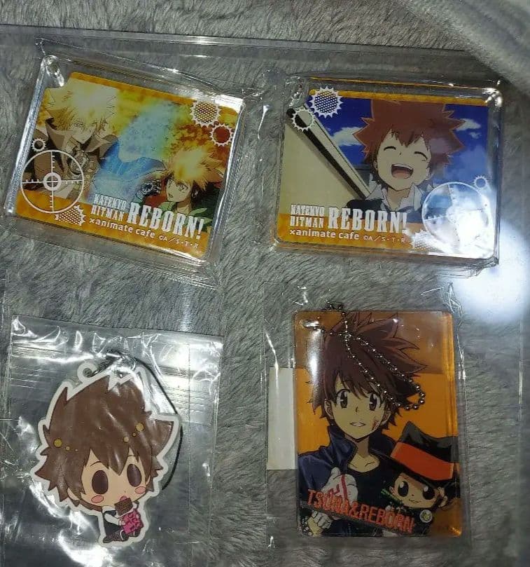 家庭教師ヒットマンREBORN！　沢田綱吉　リボーン　アクスタ