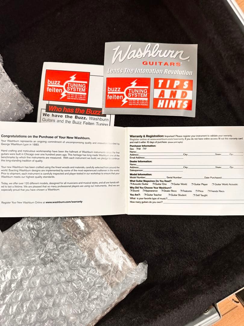 ギター Washburn N4 PADAUK