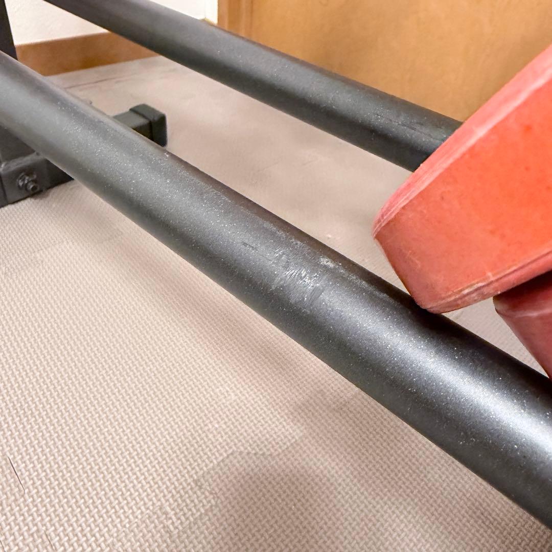 ゴールドジム ダンベルラック RK-GG3DMK｜高剛性スチール製｜分解発送