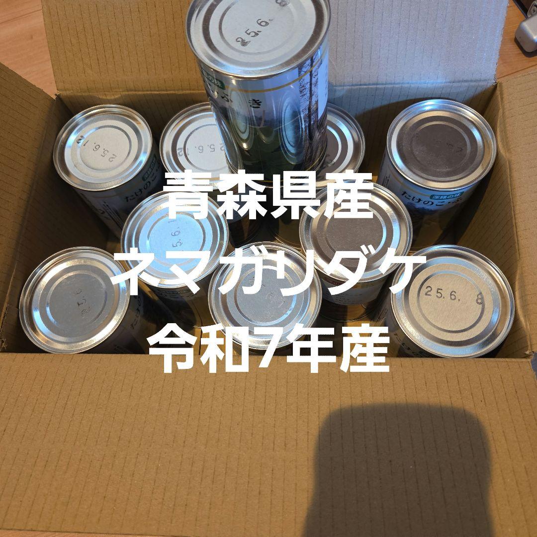 青森県産　根曲がり竹　ネマガリダケ　缶詰