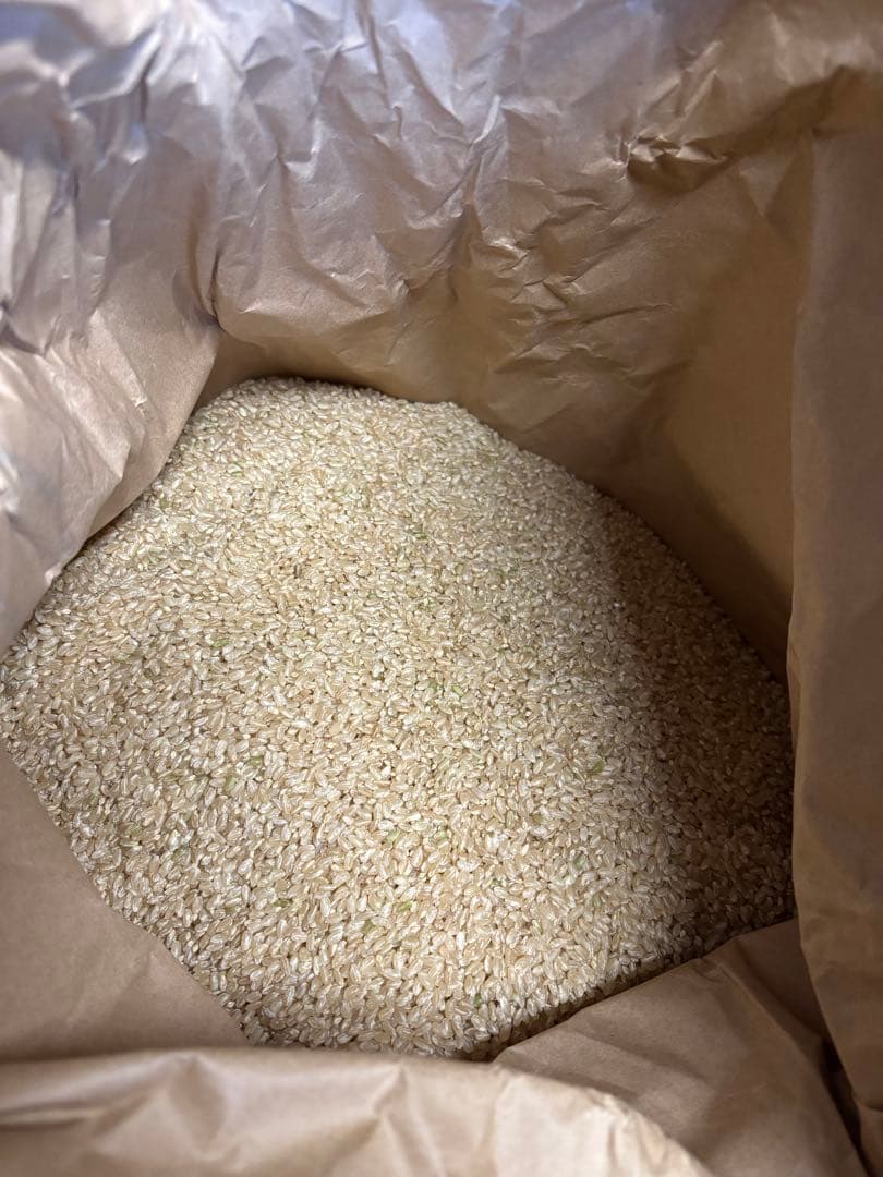 送料込み　淡雪こまち　玄米 30kg 秋田県産