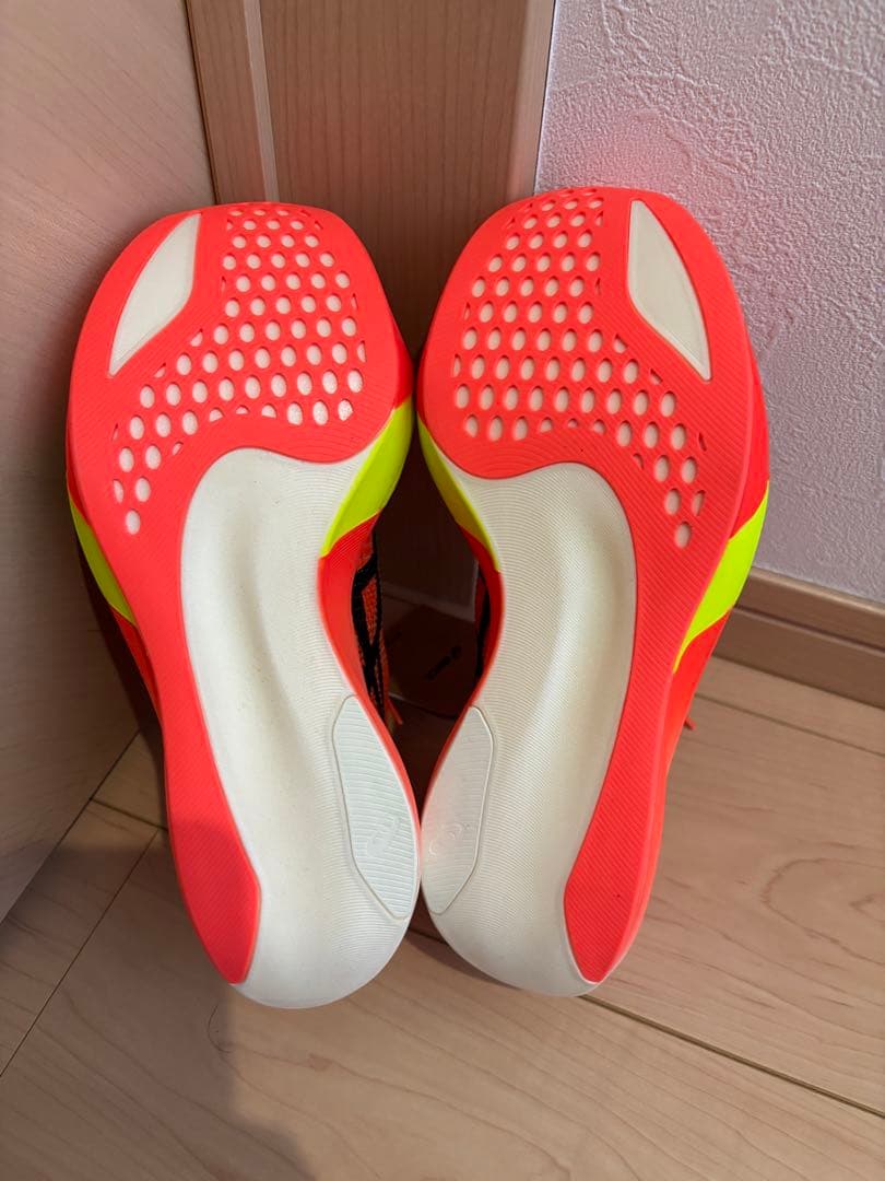 【新品未使用タグ付】ASICS SPEED SKY PARIS 25cm