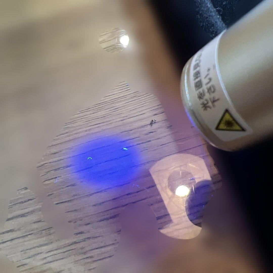 2個セットWARP SEARCH ワープサーチ タンパク質可視化ライト