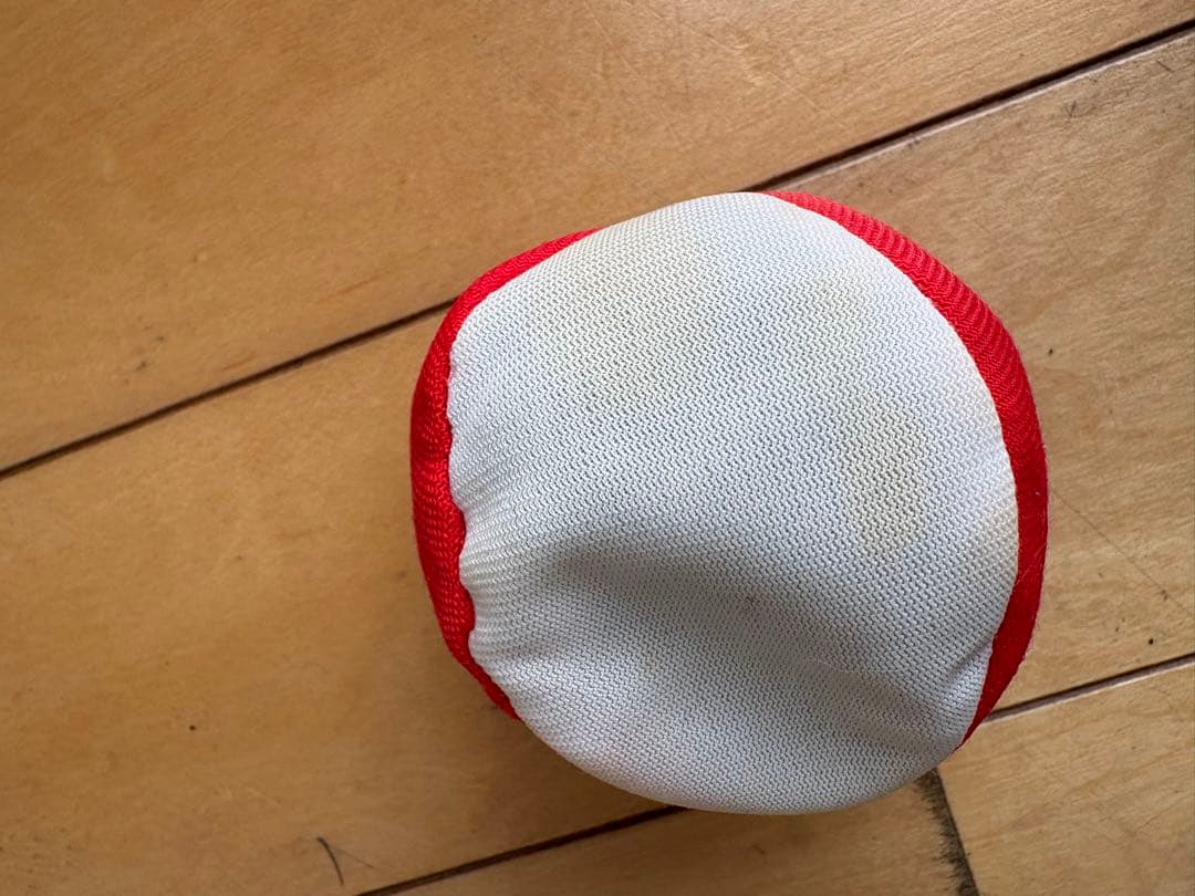 Visionup VA11-AF ストロボグラス