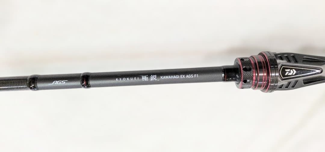 ダイワ　極鋭カワハギEX AGS F1