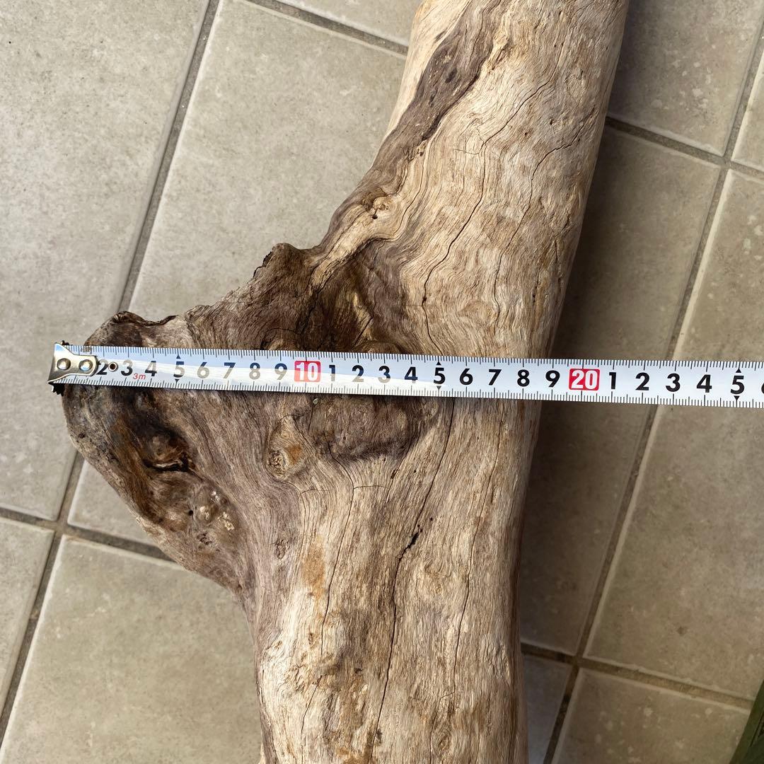 【希少大型流木】　☆おまとめ買い値引き実施中です☆