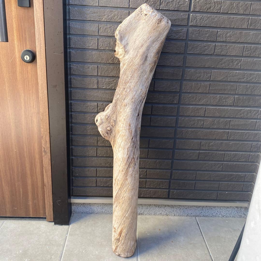 【希少大型流木】　☆おまとめ買い値引き実施中です☆