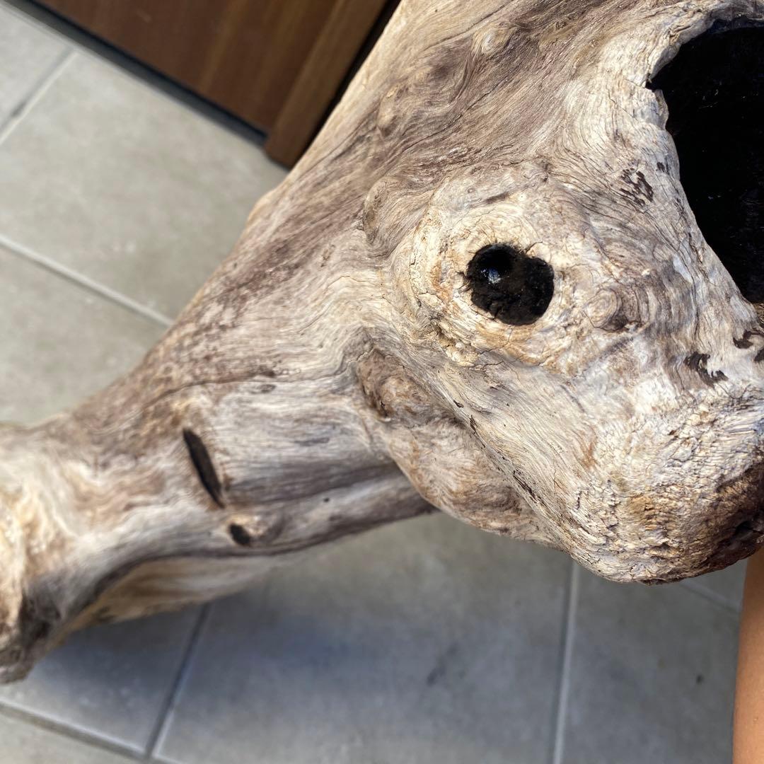 【希少大型流木】　☆おまとめ買い値引き実施中です☆