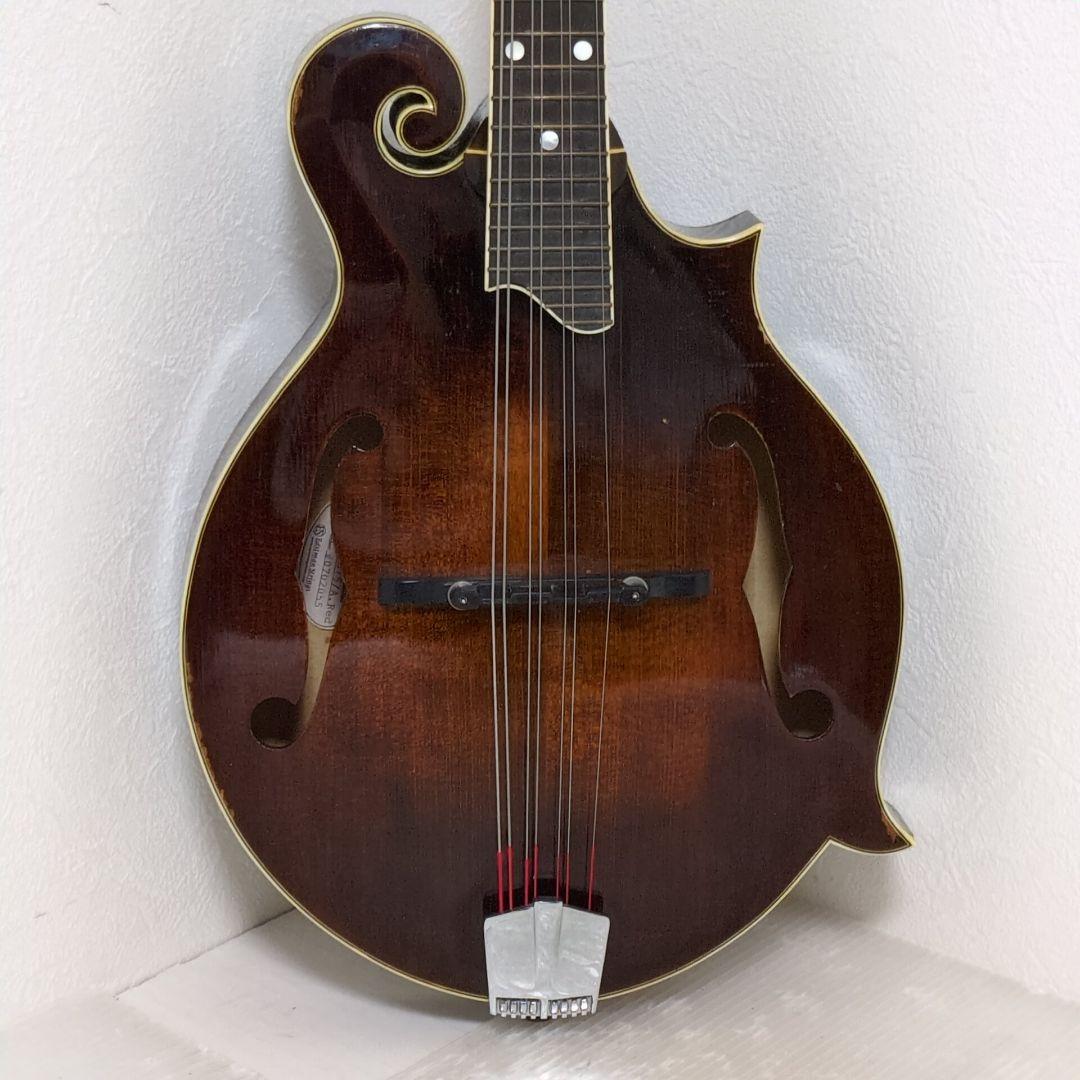 Eastman MD-515/A.Reb イーストマン フラットマンドリン