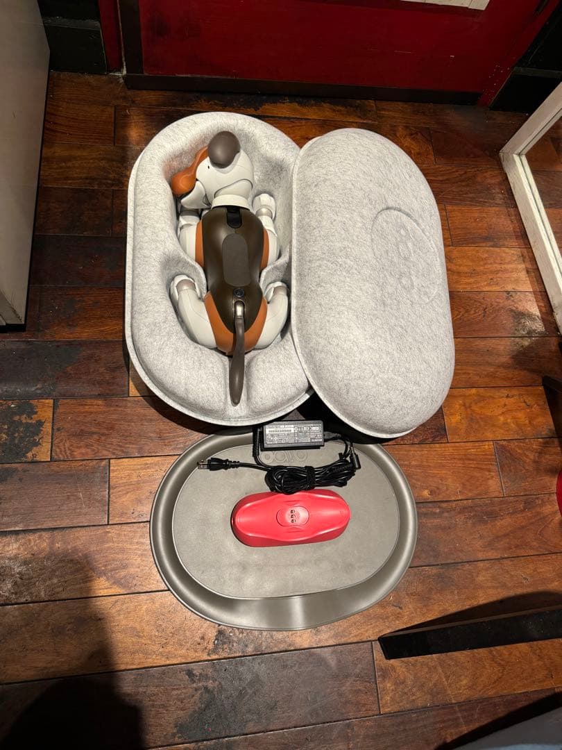 SONY AIBO アイボ ERS-1000 チョコエディション 限定モデル