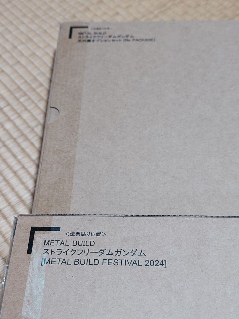 メタルビルド　ストライクフリーダムガンダム　＆　光の翼オプションセット