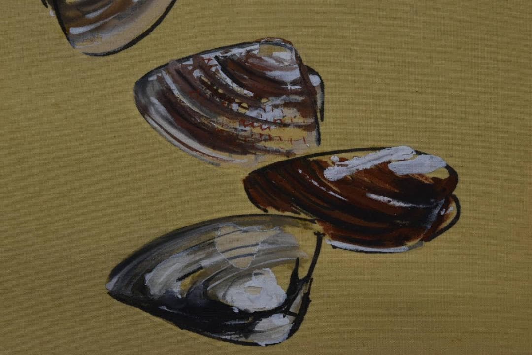 【真作】佐野五風/蛤図/ハマグリ図/掛軸/名家伝来/AA-118