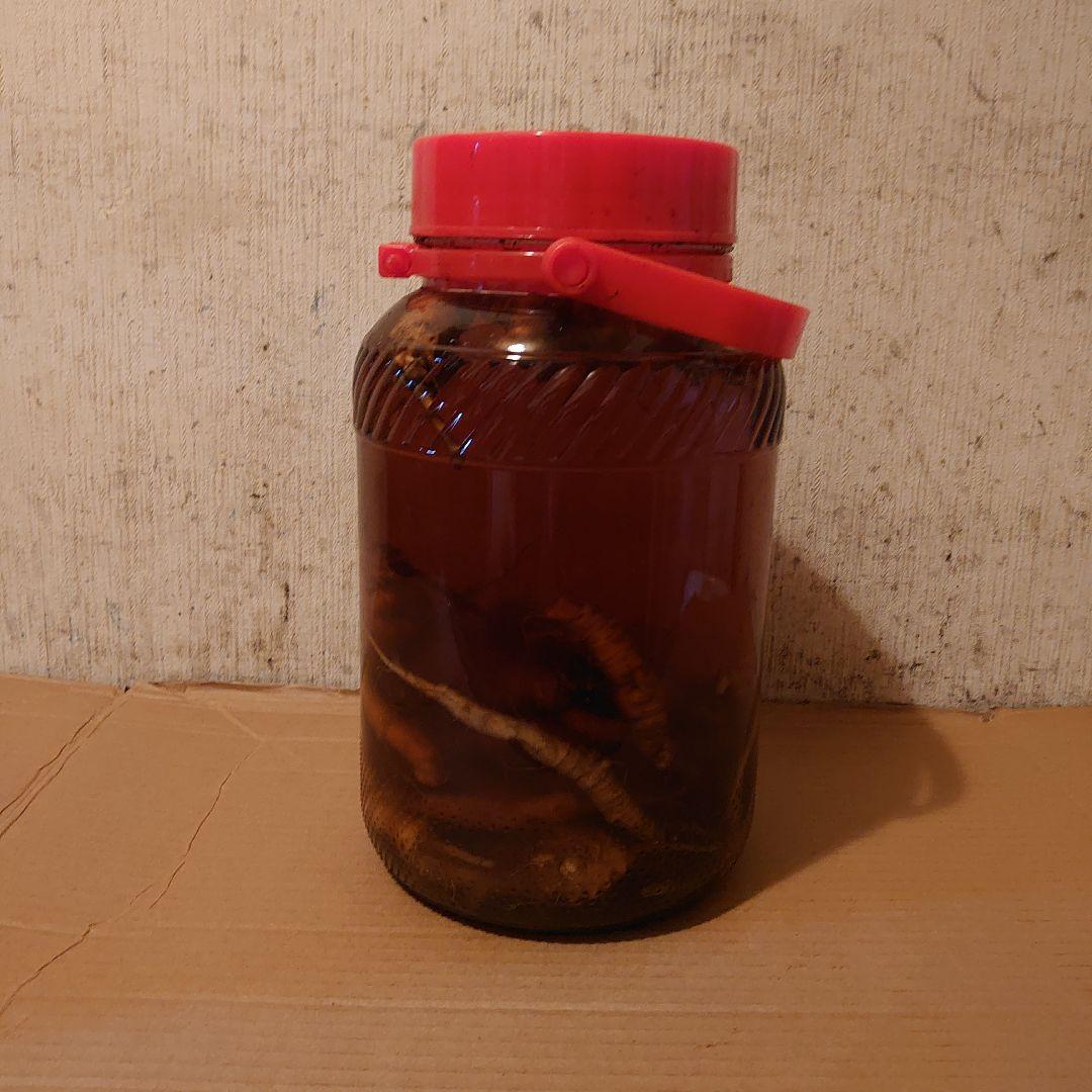 大阪府生駒山系信貴山の天然物ツルニンジン酒 5 Ｌ入り