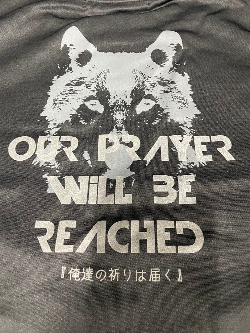 PRIDE RUN Tシャツ サイズＬ日本製