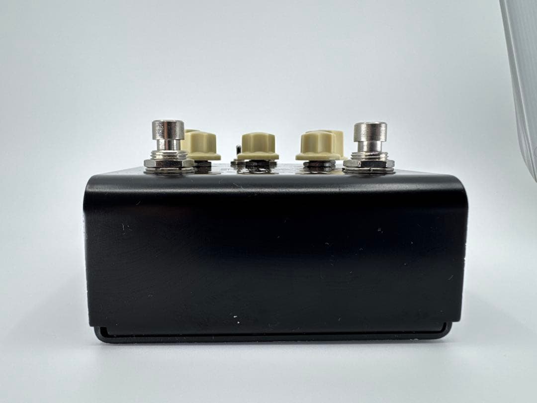 strymon FLINT トレモロ＆リバーブ