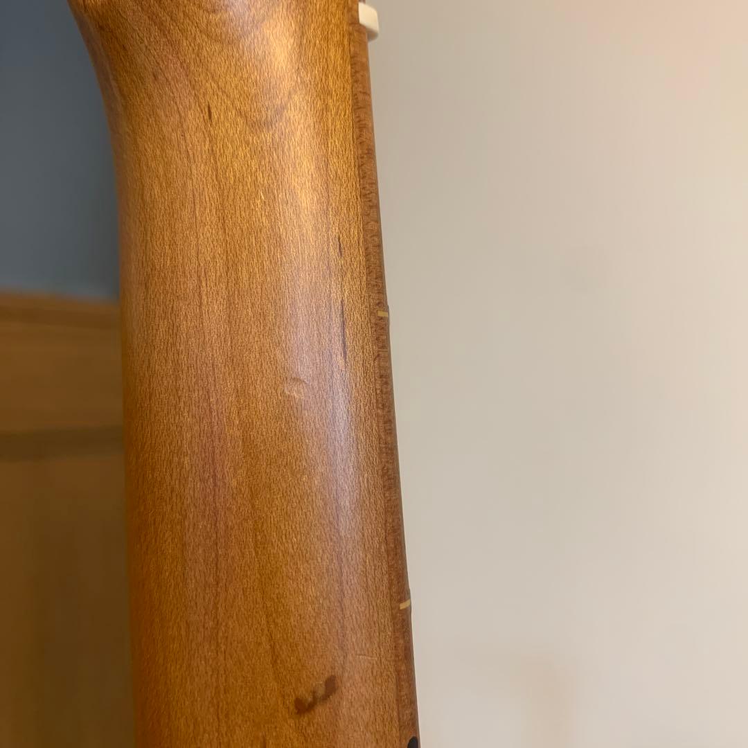 Bacchus Universe Series エレキギター サンバースト