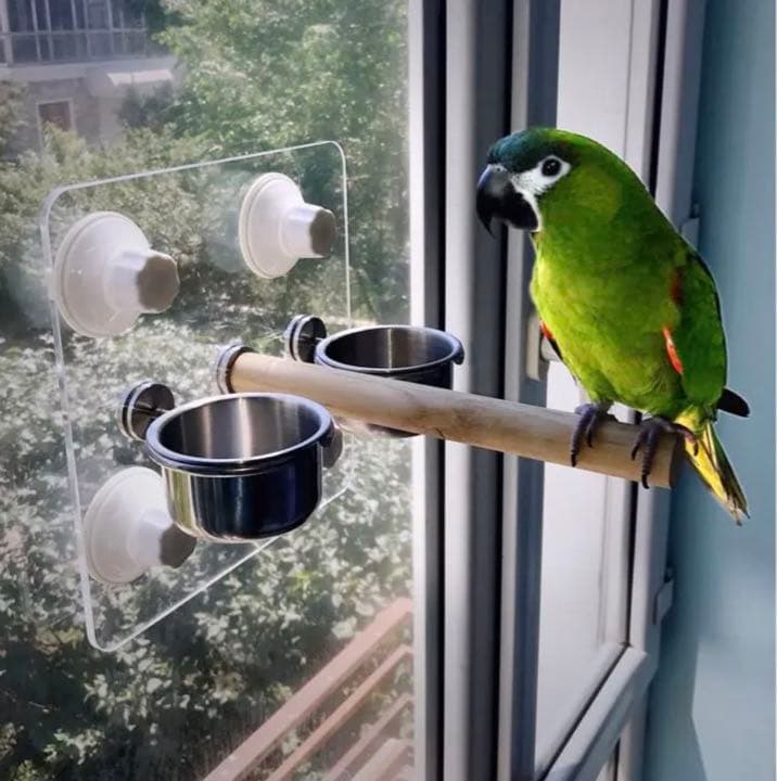 アクリル板止まり木セット 小型 中型 大型インコ兼用 風呂場 車窓 備長炭