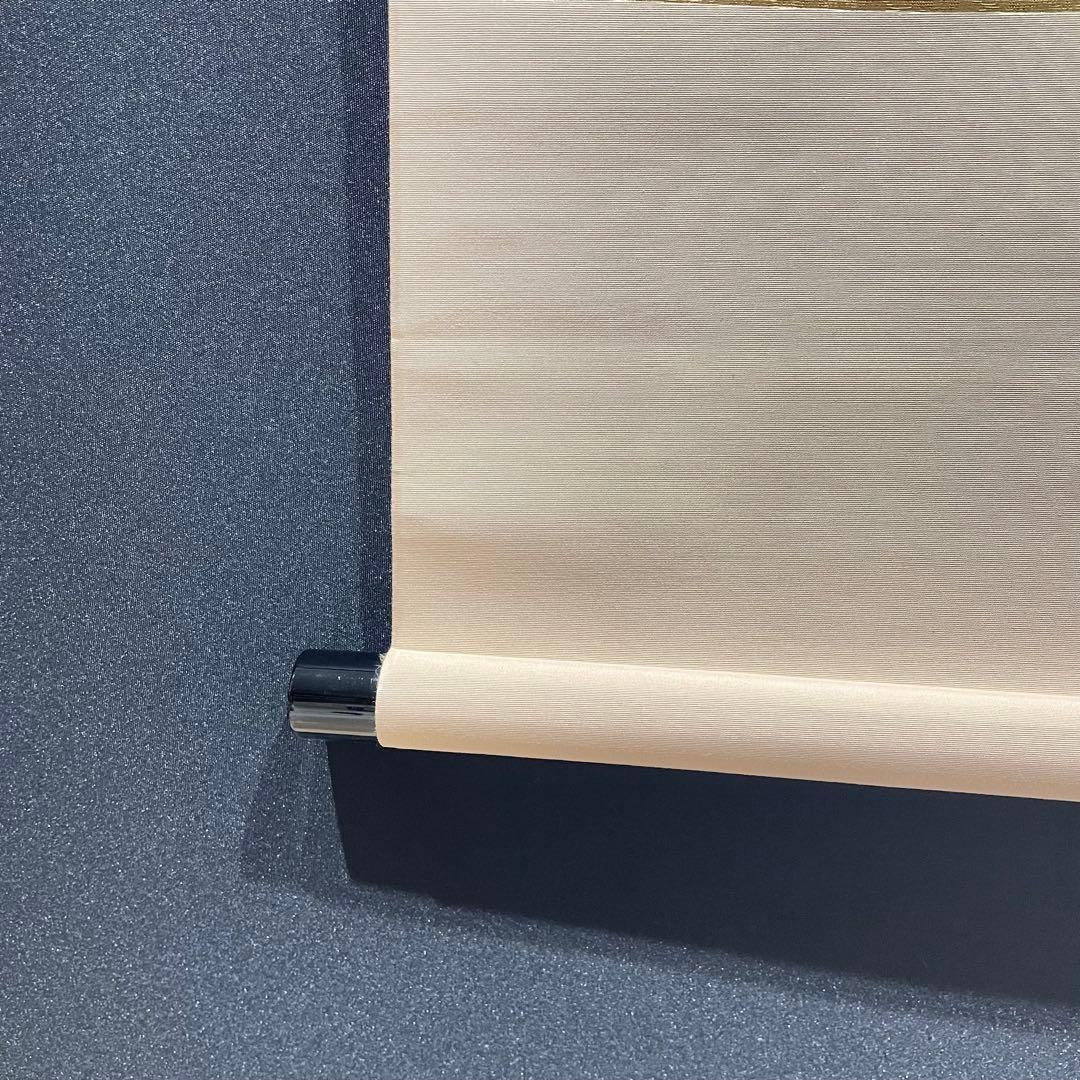 3992 泰道 「一枝春 紅梅」 共箱 肉筆 紙本 掛軸 臨済宗 大徳寺 禅語