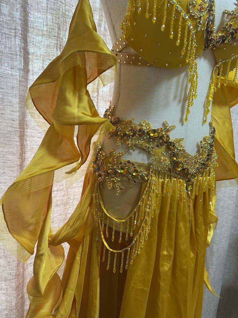 波　オーダー豪華衣装　新品　ベリーダンス　4点セット