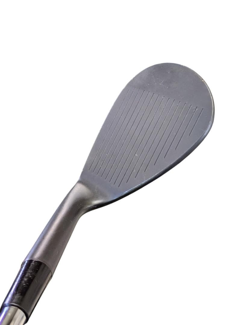 レディース～メンズ Kasco Dolphin Wedge DW-113 48°