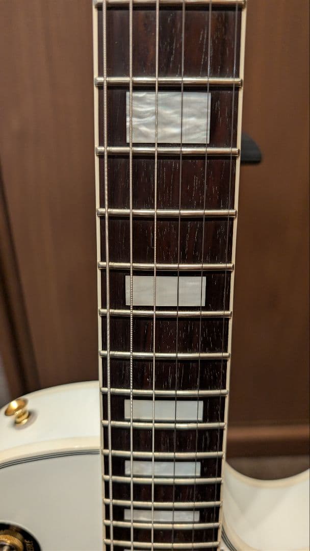 【値下げしました】FGN NLC100 / レスポールカスタムDuncan PU