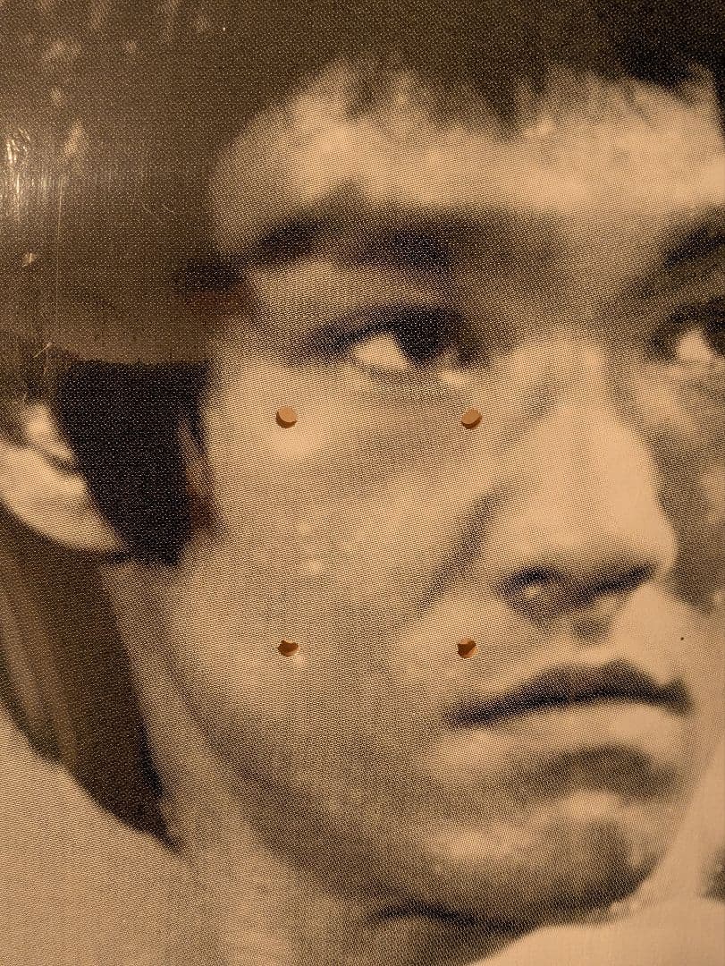 【美品】SUPREME 13AW Bruce Lee Skate Deck