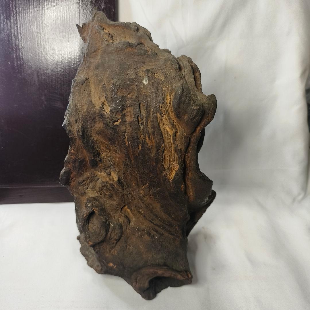 不動明王像 木彫り 樹根彫り光背 江戸骨董 桐箱付 仏教美術 アンティーク