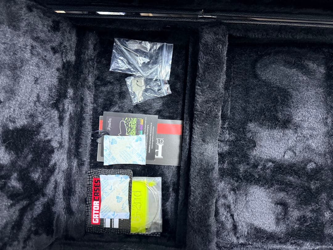 ギター PRS SE CUSTOM 24 Quilt Package