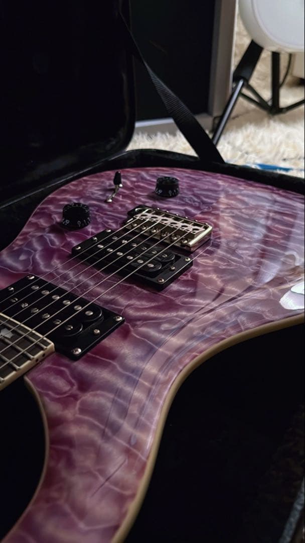 ギター PRS SE CUSTOM 24 Quilt Package