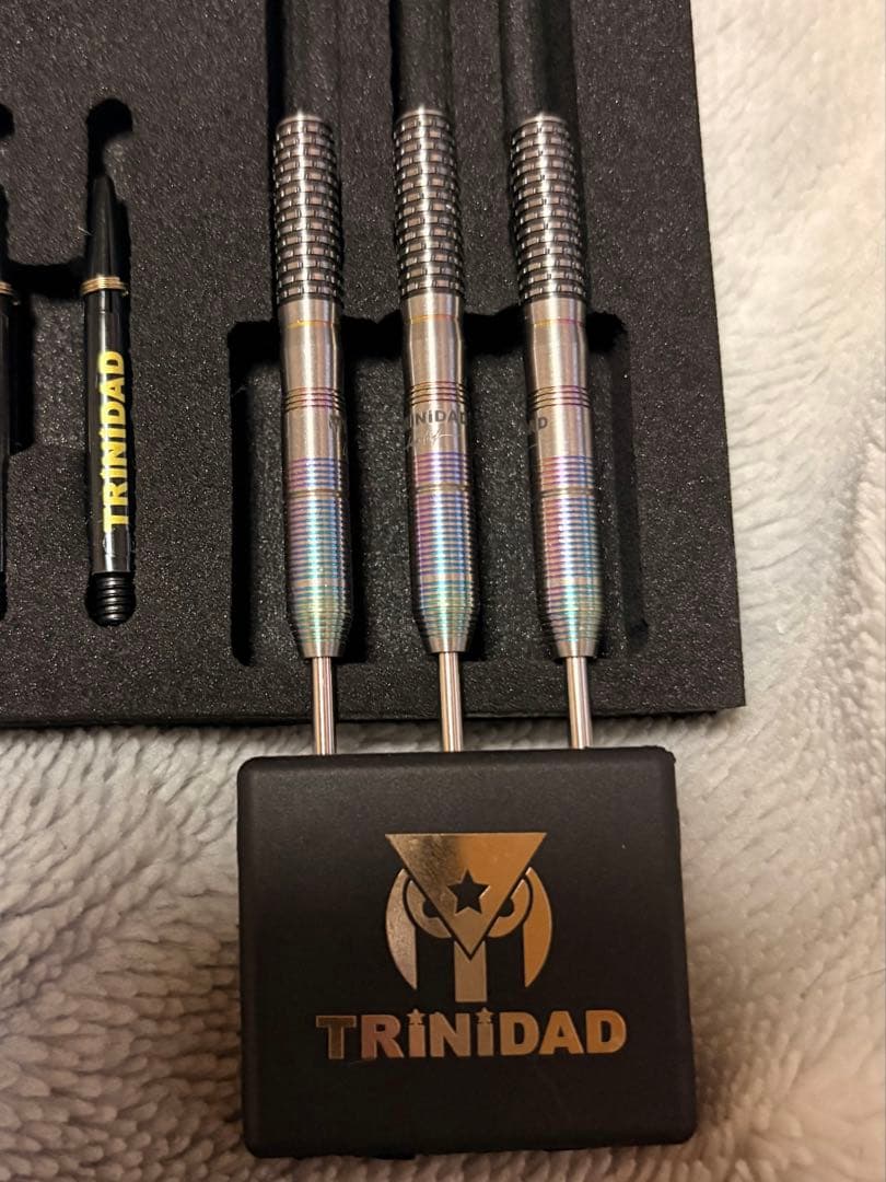 【おまけ付き】ヒューゴリョン　hugotype2 スティール