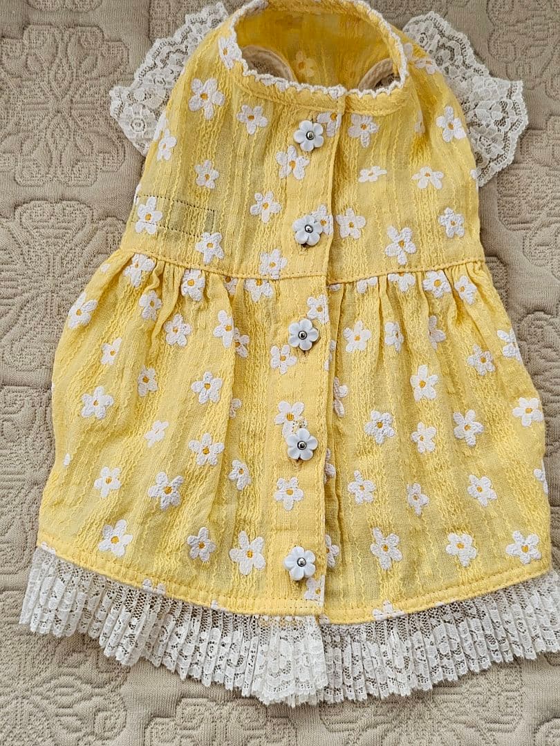 アトリエgg シークワーサーの花(イエロー)