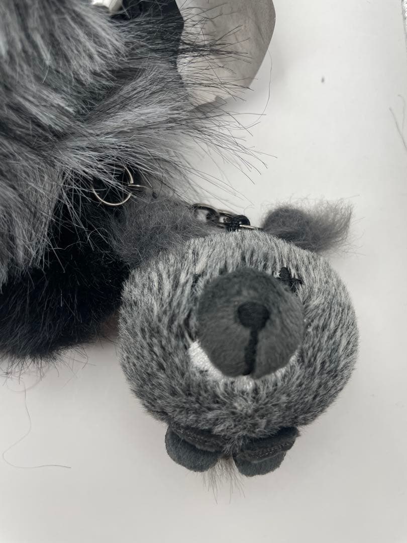 SKULLPANDA スカルパンダ You Found Me！シークレット