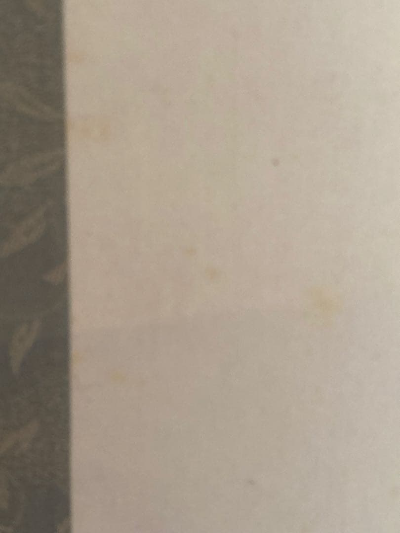 掛け軸 「 桜」箕輪虹遊 作　三越美術館 ☆ USED